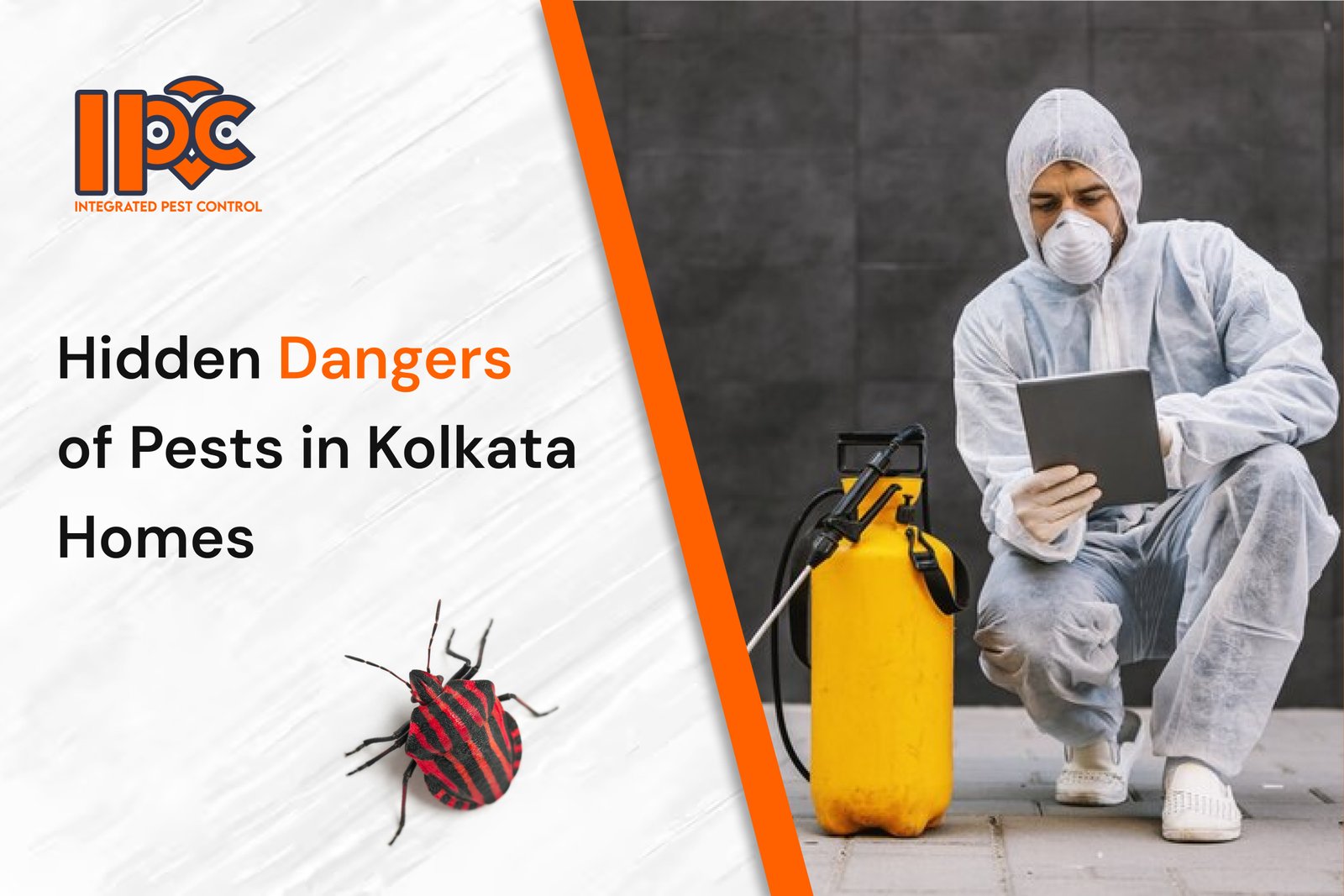 Hidden Dangers of Pests in Kolkata Homes